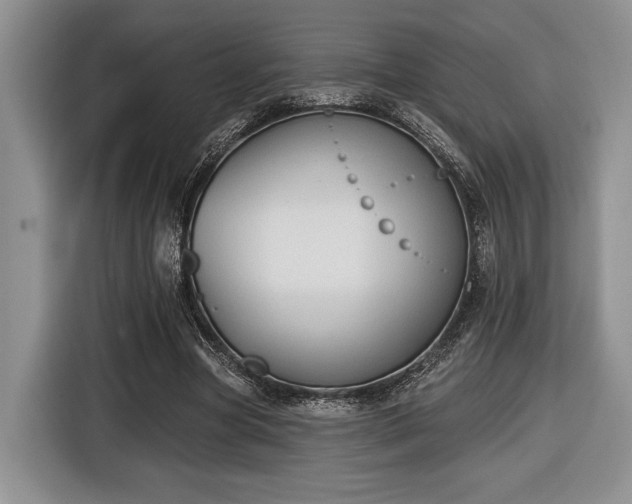 X0000116430537200912151020