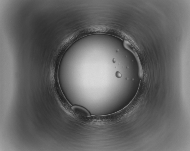 X0000116430538200912151020