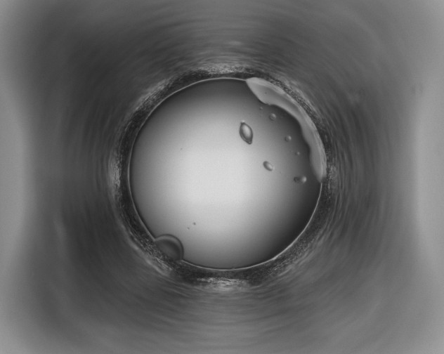 X0000116430539200912151020
