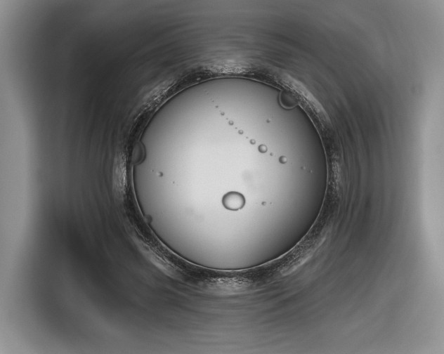 X0000116430541200912151020