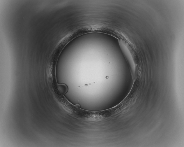 X0000116430543200912151020
