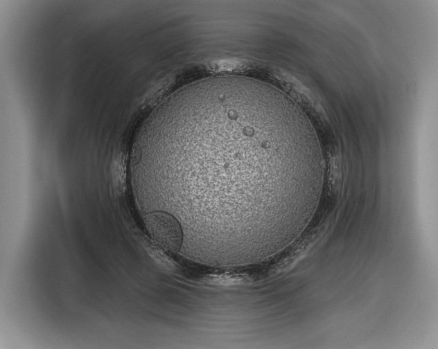 X0000116430545200912151020
