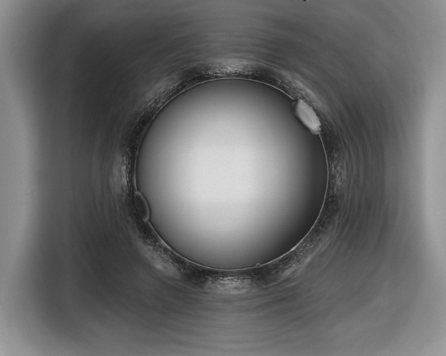 X0000116430546200912151020