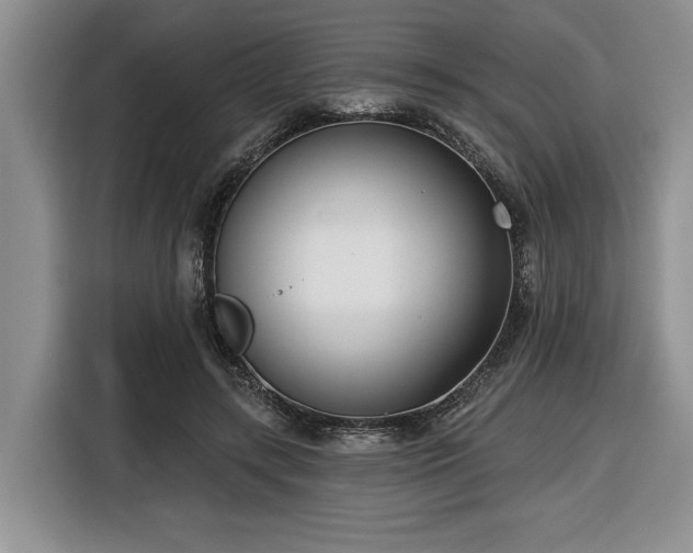X0000116430547200912151020