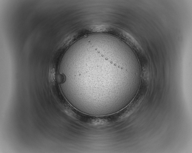 X0000116430549200912151020