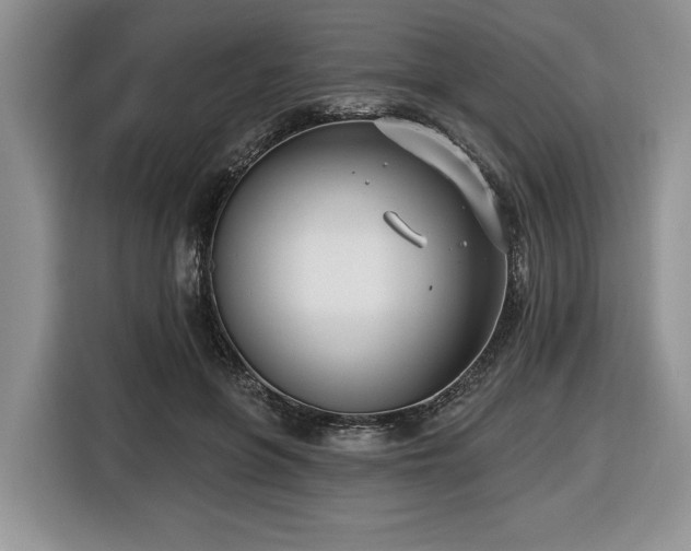 X0000116430551200912151020