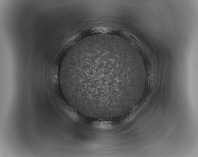 X0000116430553200912151020