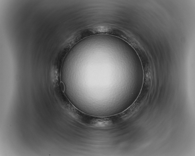 X0000116430555200912151020