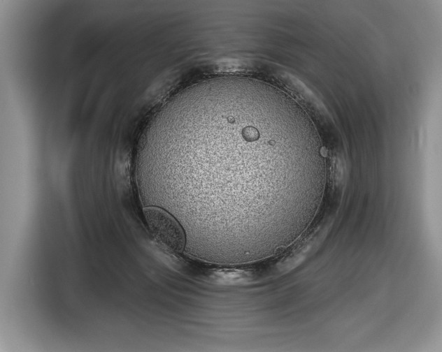 X0000116430557200912151020