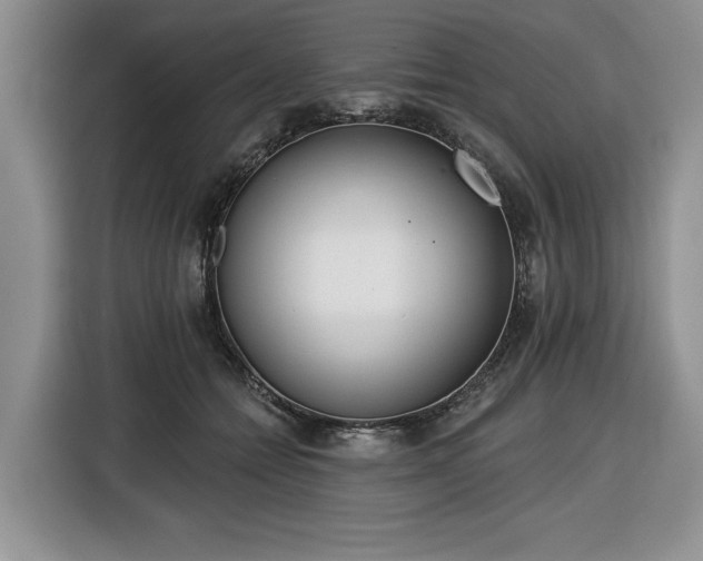 X0000116430558200912151020