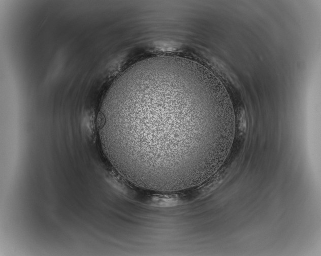 X0000116430559200912151020