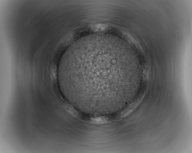 X0000116430561200912151020