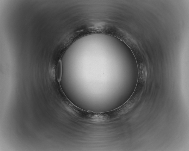 X0000116430562200912151020