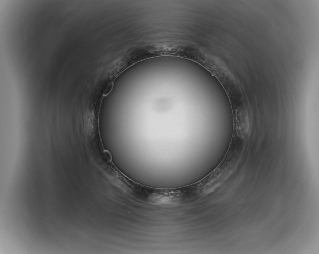 X0000116430563200912151020