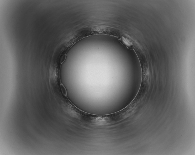 X0000116430566200912151020