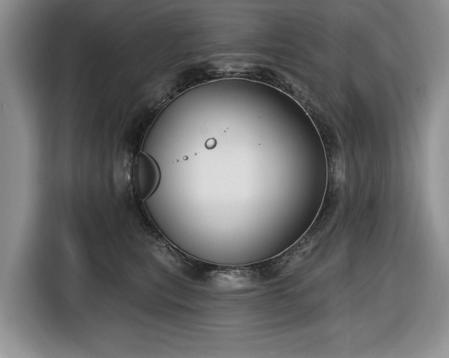 X0000116430567200912151020