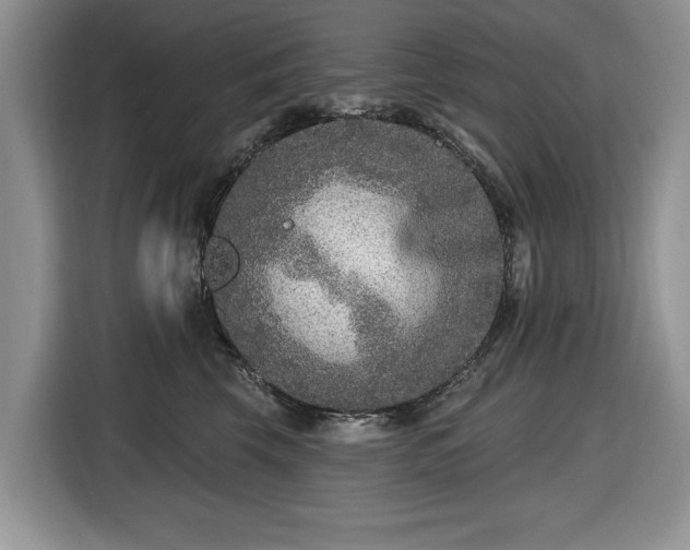 X0000116430569200912151020