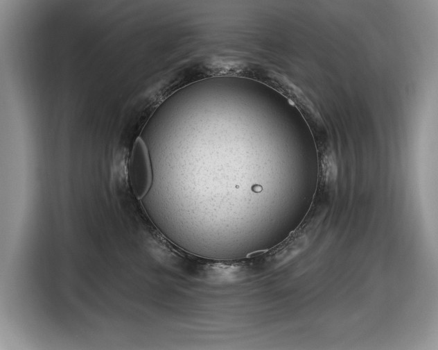 X0000116430570200912151020
