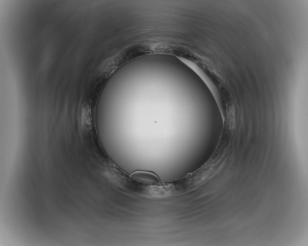 X0000116430571200912151020