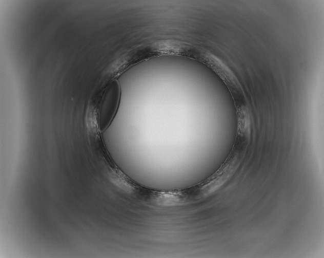 X0000116430573200912151020