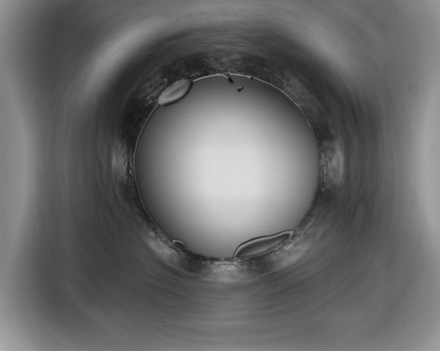 X0000116430574200912151020