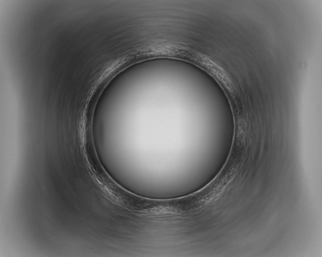 X0000116430578200912151020