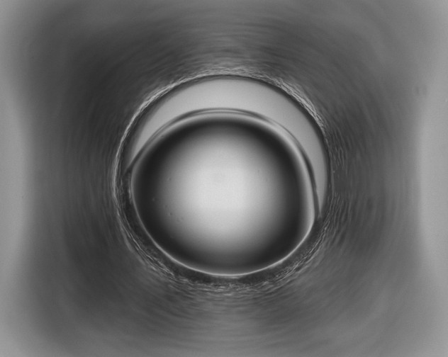 X0000116430579200912151020