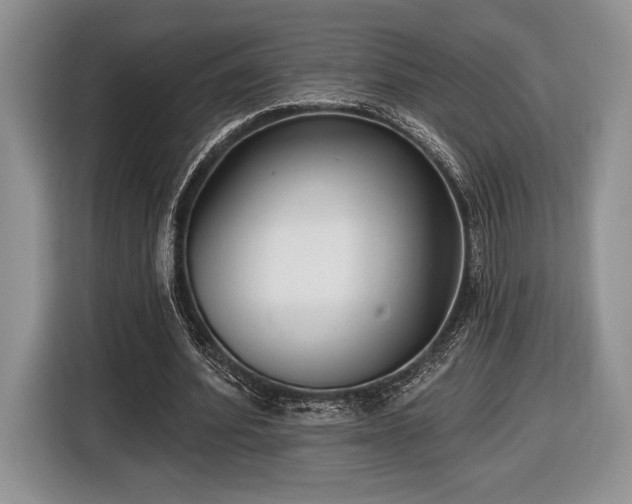 X0000116430580200912151020