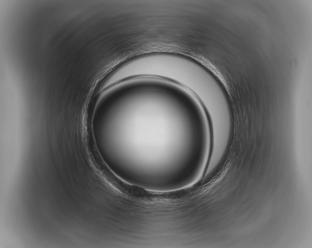 X0000116430581200912151020