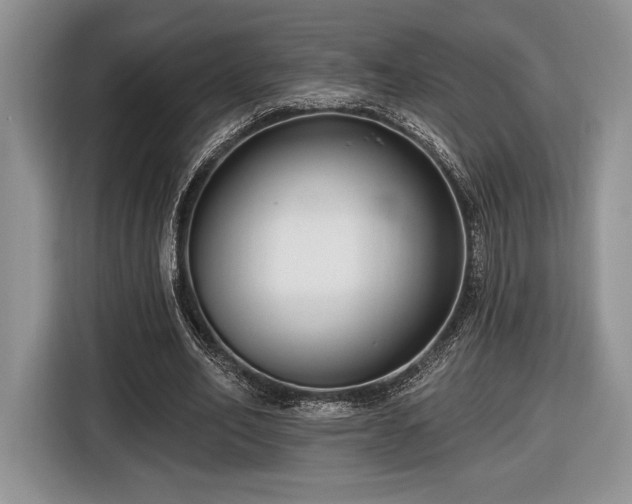 X0000116430582200912151020