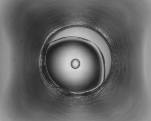 X0000116430583200912151020