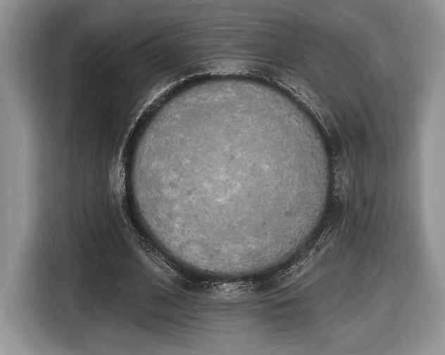 X0000116430584200912151020