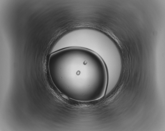 X0000116430585200912151020