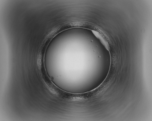 X0000116430586200912151020