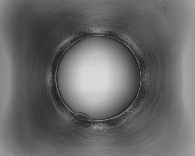 X0000116430587200912151020
