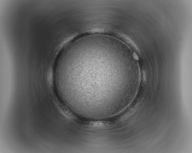 X0000116430588200912151020