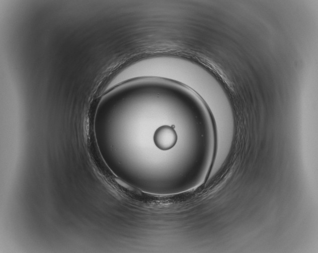 X0000116430589200912151020