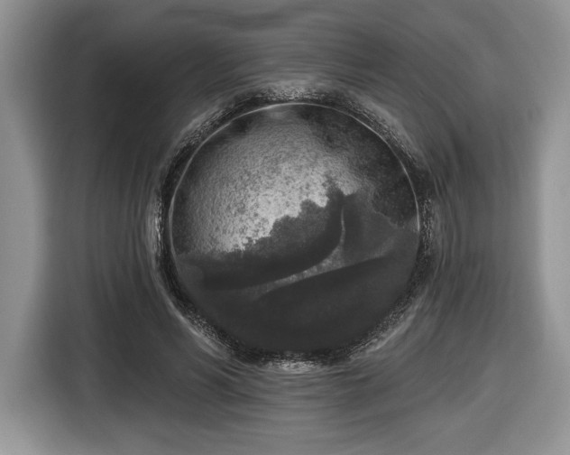 X0000116430590200912151020