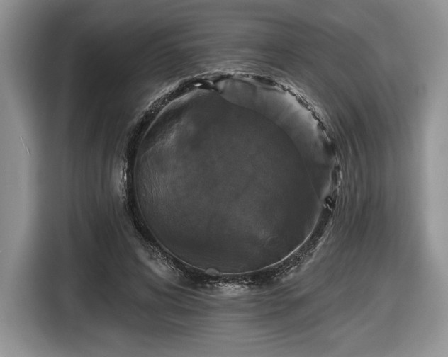 X0000116430592200912151020