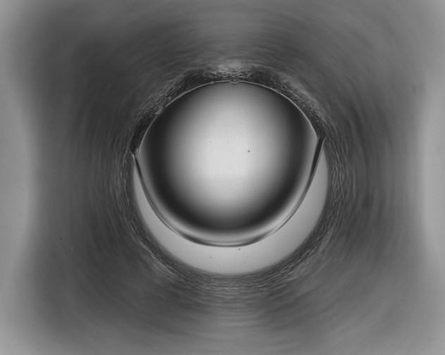 X0000116430593200912151020