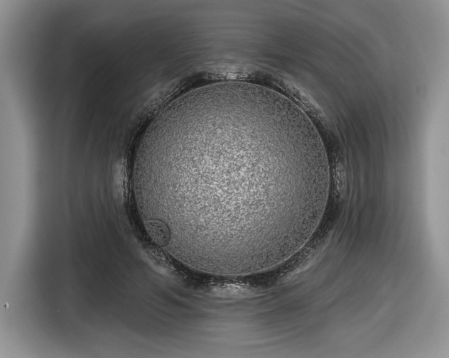 X0000116430594200912151020