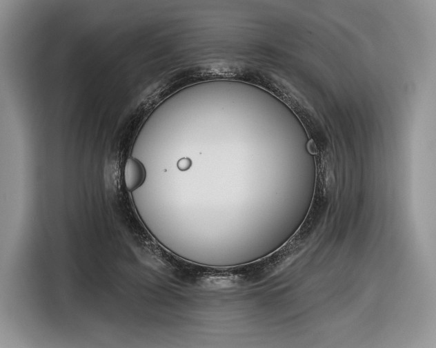 X0000116430595200912151020