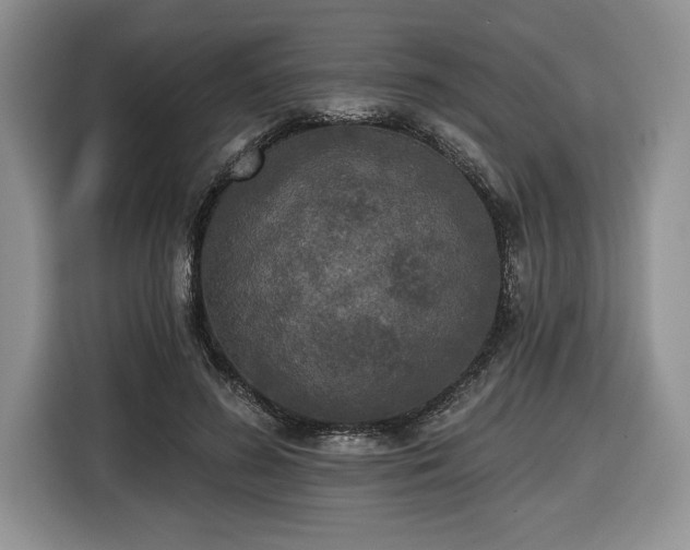 X0000116430596200912151020
