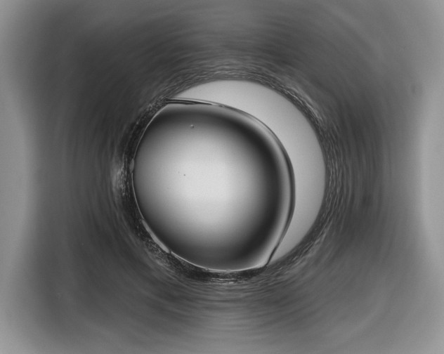 X0000116430597200912151020
