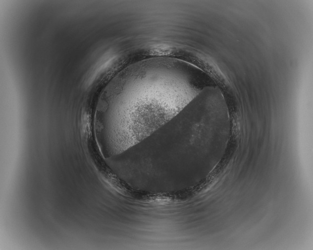 X0000116430598200912151020