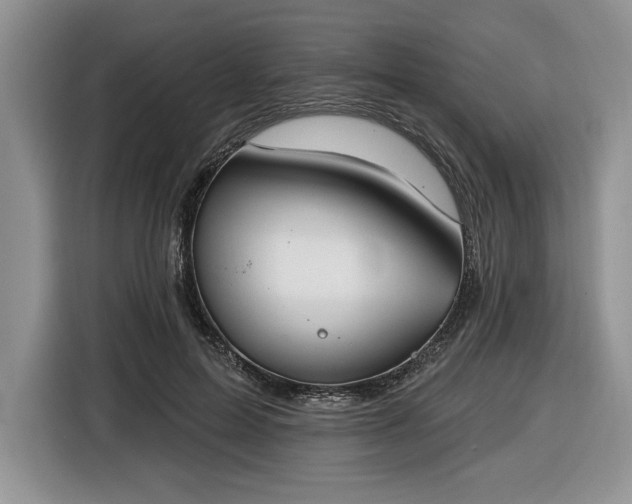 X0000116430599200912151020