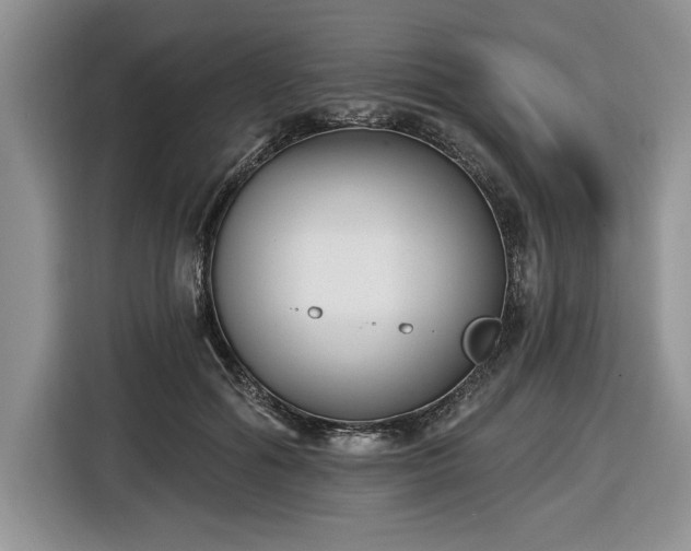 X0000116430602200912151020