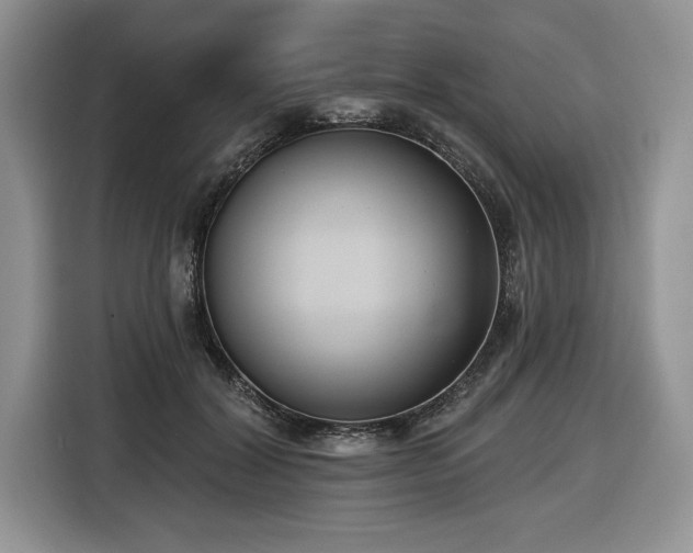 X0000116430604200912151020