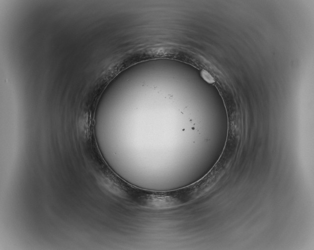 X0000116430605200912151020
