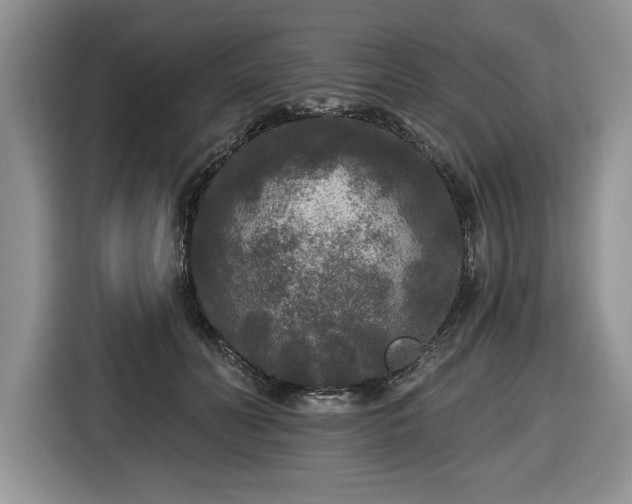 X0000116430606200912151020
